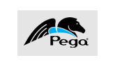 Pegasystems Hiring Freshers : Associate Solutions Engineer : Across India