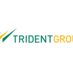 Summer Internship @Trident India | Feb 2015 | Punjab & MP Trident logo