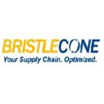 Bristlecone Internship 2026 Hiring AI Interns bristlecone