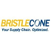 Bristlecone Internship 2026 Hiring AI Interns bristlecone