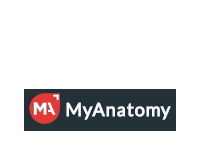 MyAnatomy Venture Off Campus | Technical Intern | 2017/2018 Batch | 24 Jun 2017 | Bengaluru