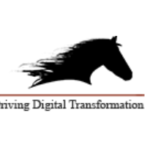 Dark Horse Off Campus Drive | 2018 Batch (Intern) | Hyderabad dark horse jobs